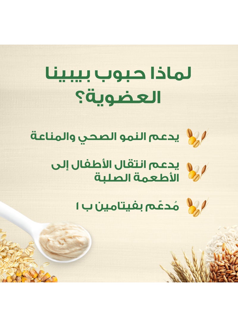 بيبينا حبوب 5 عضوية - Image 5